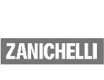 Logo Zanichelli Editore